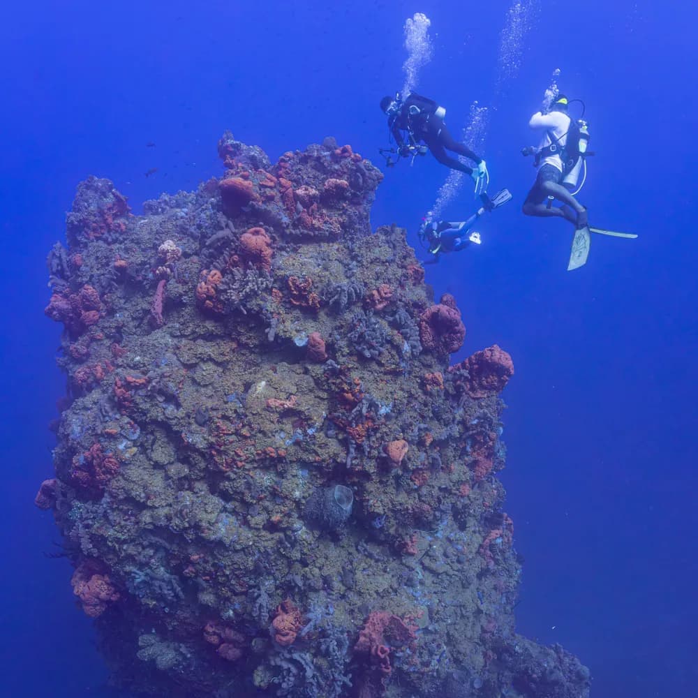 Scuba divers hovering above a coral-covered volcanic pinnacle in the Saba Marine Park.