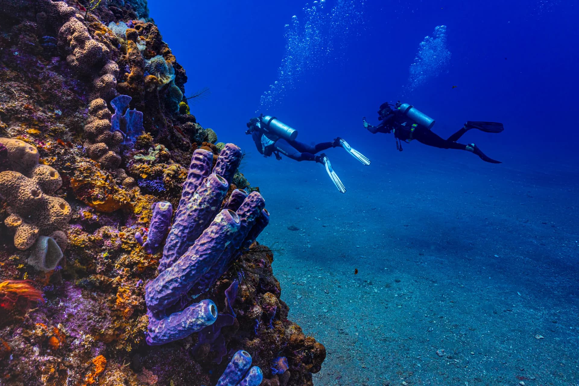 Two divers above the reef in the Saba Marine Park